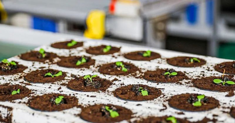 在大山深处幽静绝美的村落,深藏大山中的村落