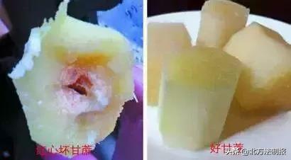 比毒蛇还毒100倍的食物,比毒蛇还毒的它千万别吃