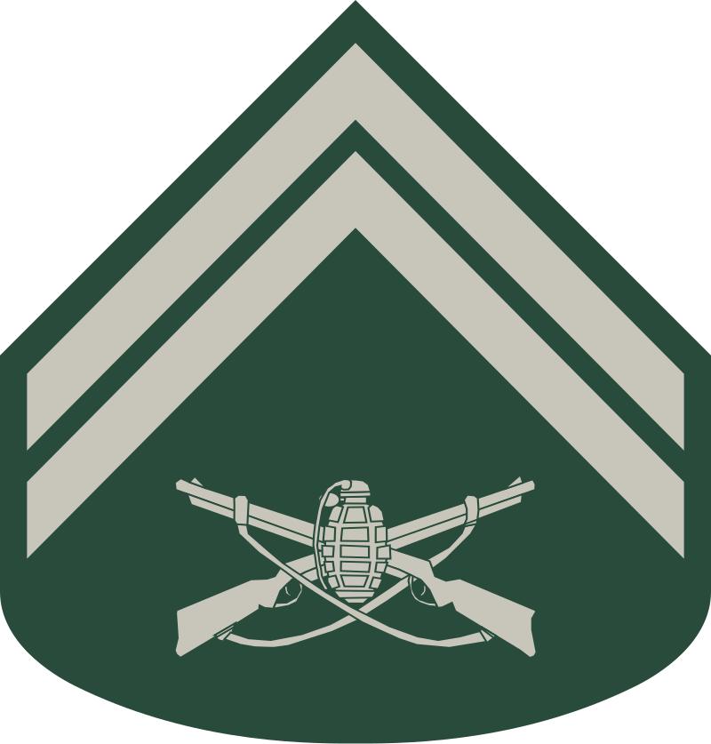 巴西军衔图片,各国军衔标识俄罗斯