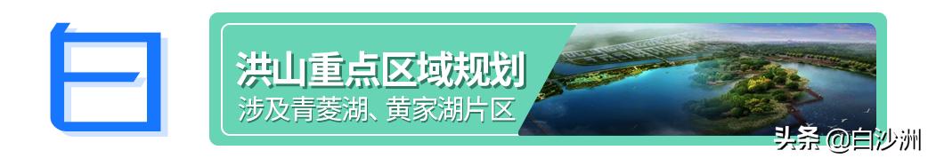 白沙洲丽水路未来规划,白沙洲大道以西规划