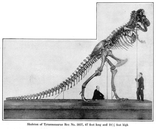 霸王龙真正的样子长什么样,霸王龙长什么样子真正的图片