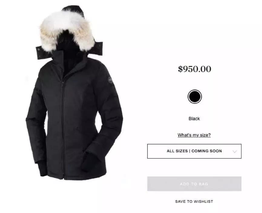 加拿大鹅在北京被疯抢,1000块钱的加拿大鹅