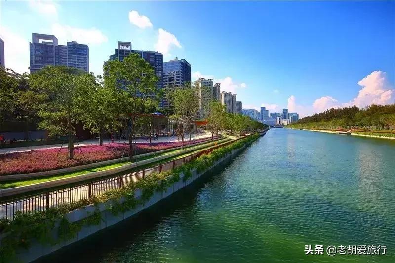 深圳周末春游好去处,深圳春游赏花去哪里好