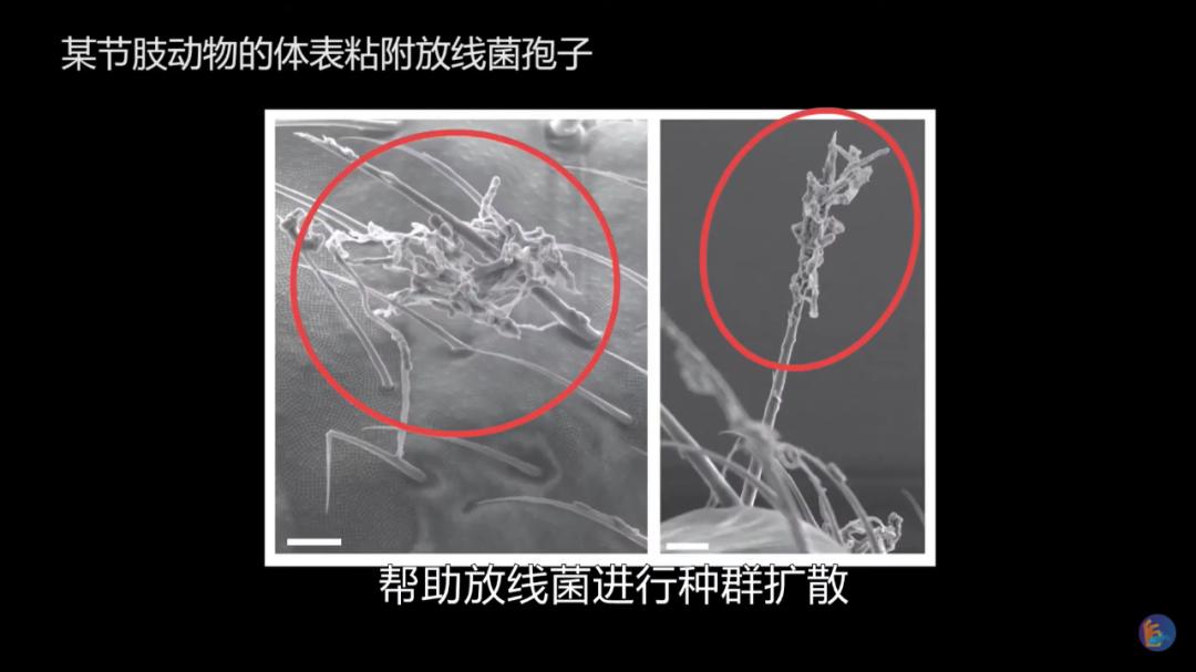 吃鱼有腥味如何去除,吃鱼有腥味怎么去