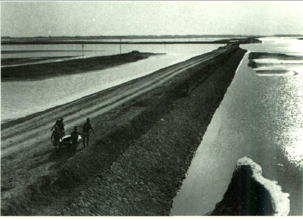 不要小看打仗的人,不要小看印度的军事