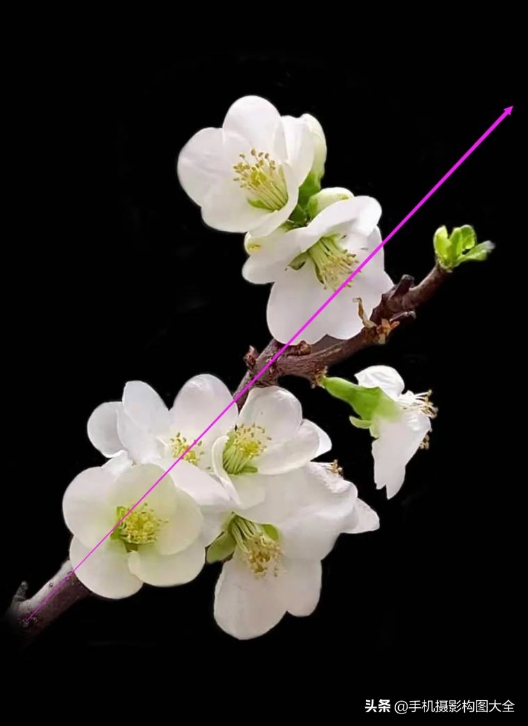 24-70拍人像使用技巧,24种手机拍摄技巧图片