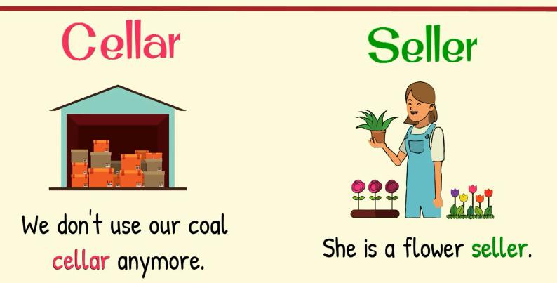 英语词汇高频近义词辨析,英语同音同形异义词概念