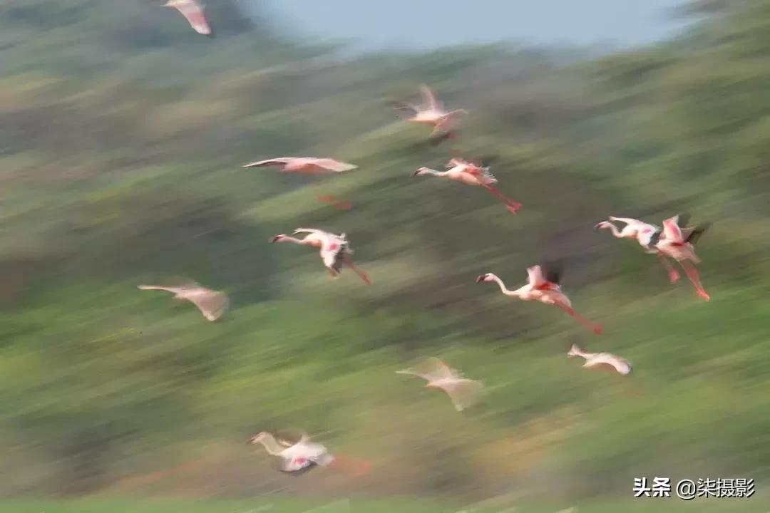 聚焦区域和自动对焦模式的选择,6d对焦模式和对焦区域