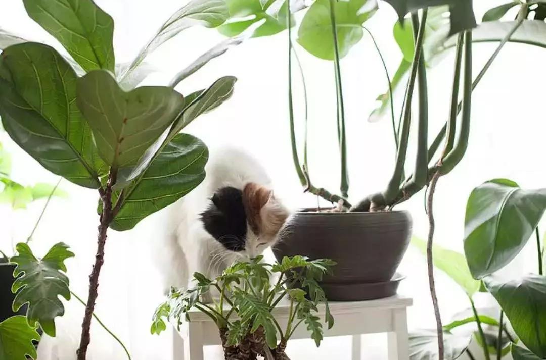 小夫妻98㎡家意外走红!登北京地铁广告,这个家才是都市里的奢侈