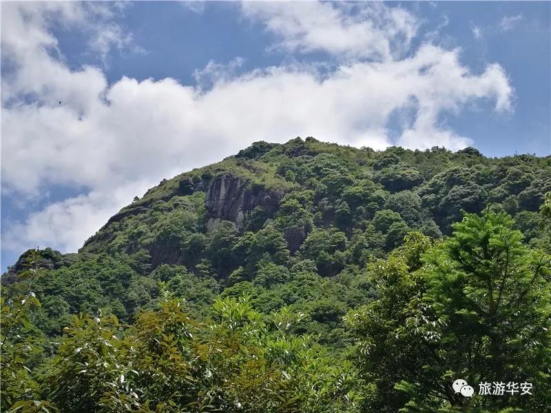 春风十里不如你，我在华安等着您