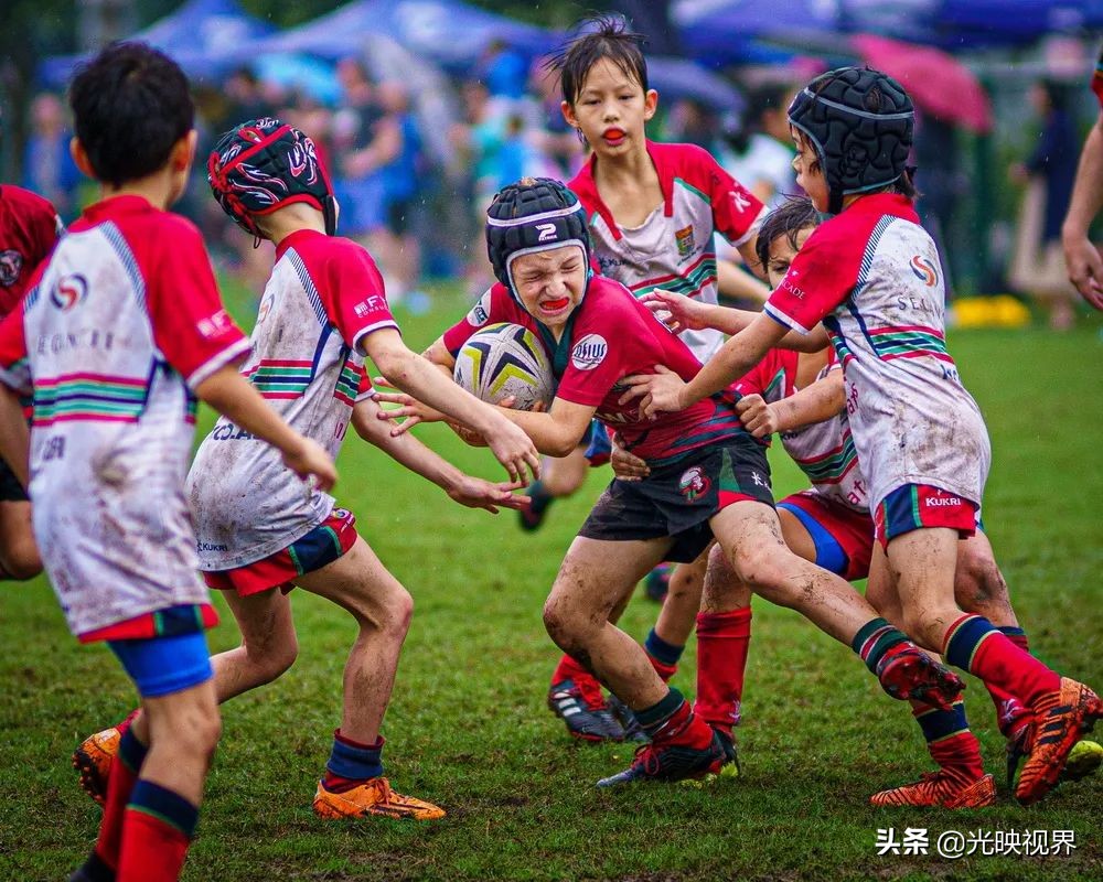 2022年度的ipa摄影大赛获奖作品,2020ippa摄影大赛奖项公布