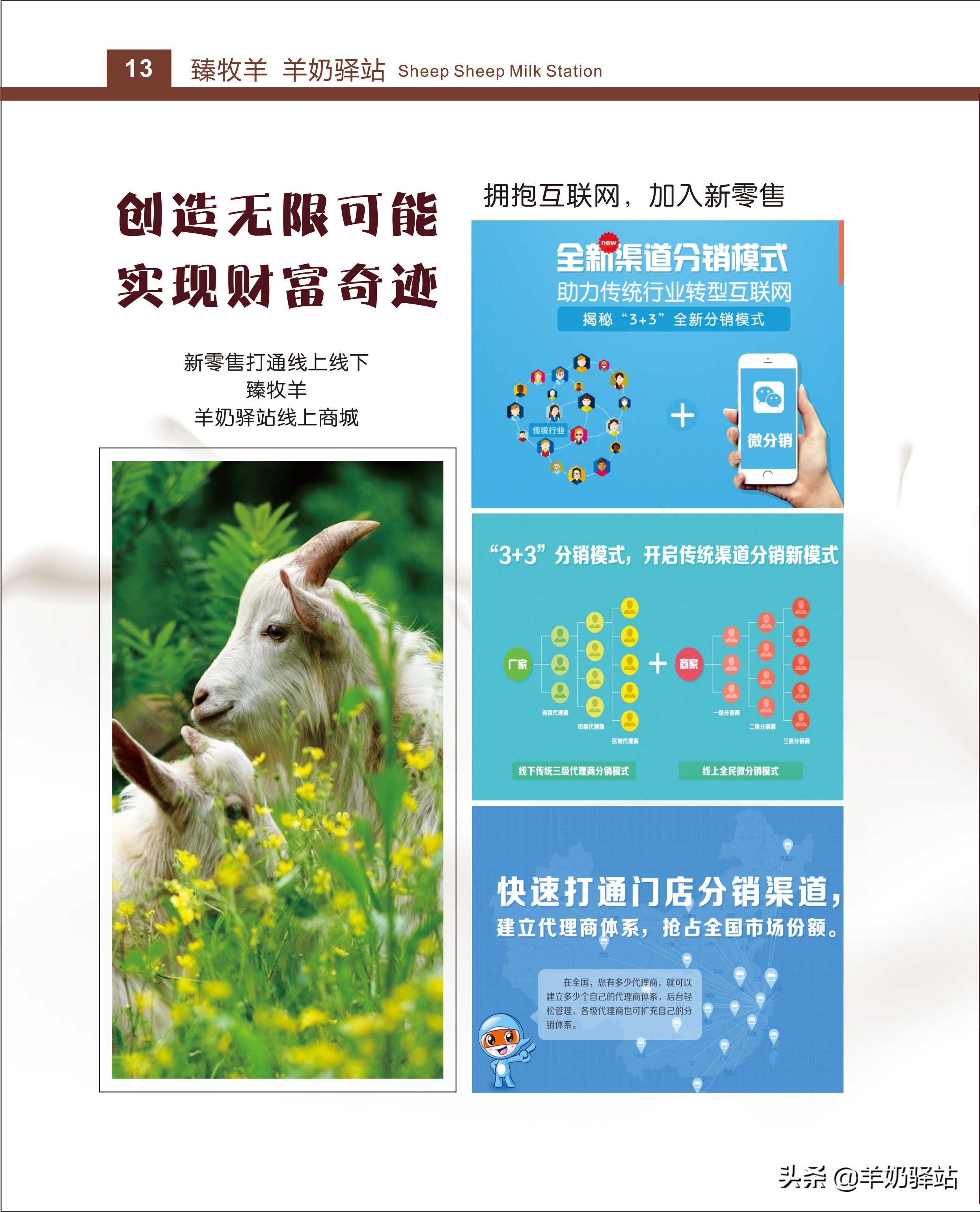 臻牧羊羊奶驿站运营模式,羊奶加盟连锁扶持排行榜