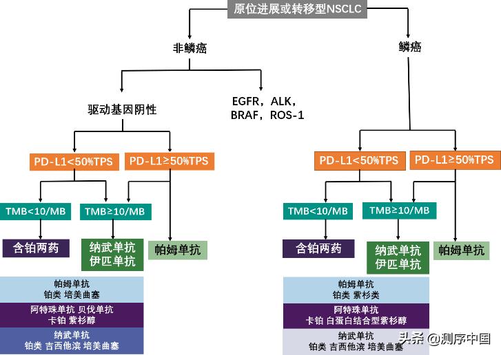 ngs技术有必要做吗,ngs检测对于病理科的意义