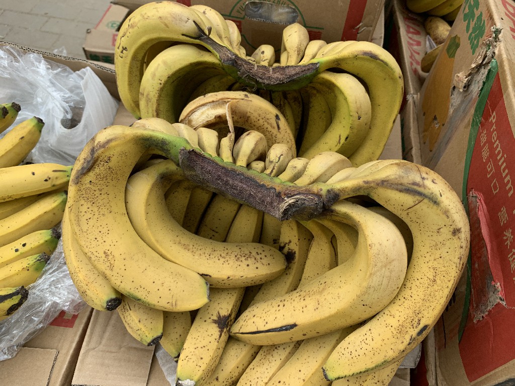 买香蕉买大的好还是小的好,买香蕉时挑直的还是弯的老果农