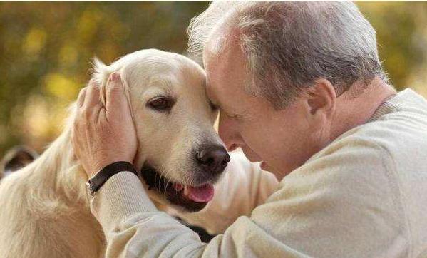 饲养宠物有哪些有益的影响,小朋友养宠物狗的好处和坏处