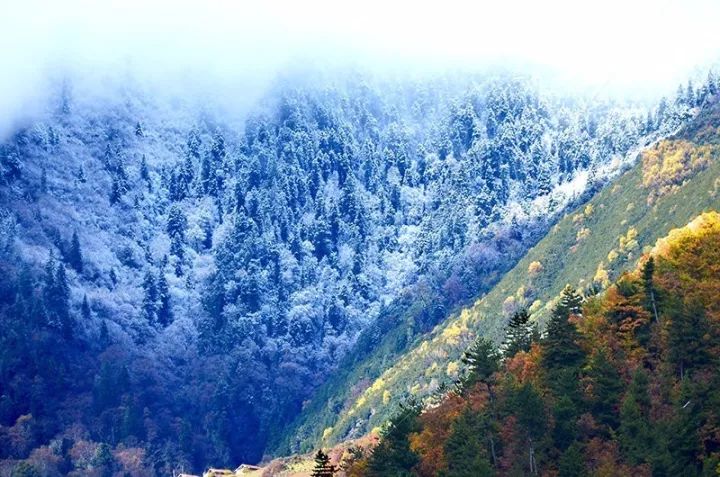 四川一条路途经全是石头的山,四川红叶一日游攻略