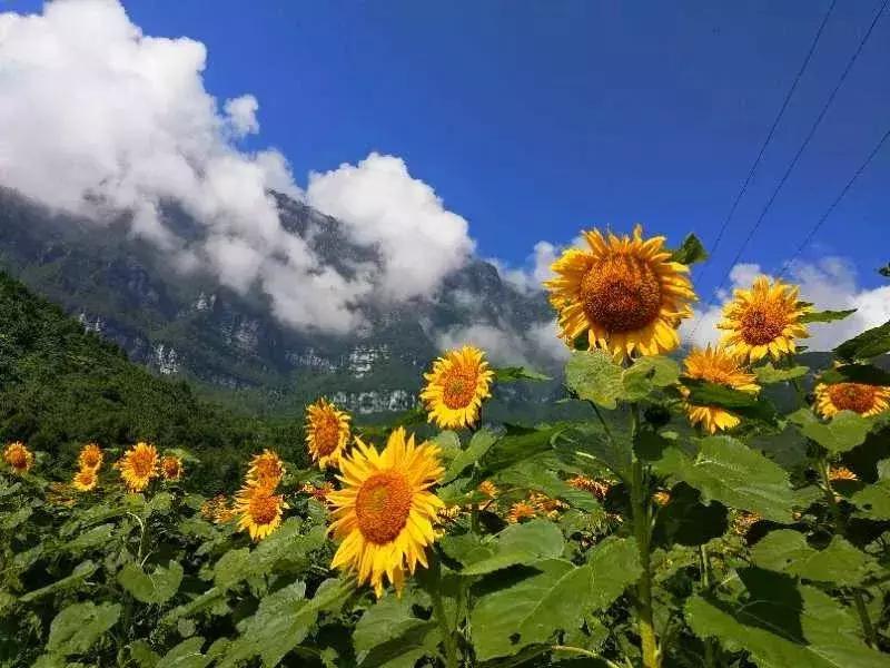 四川乐山金口河风景图片,四川乐山金口河老照片