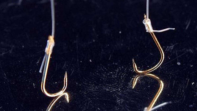 新手钓鱼有福利吗,新手钓鱼福利