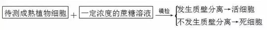 云南高中会考生物实验操作,生物显微镜实验视频高中