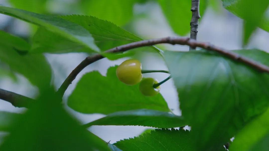 90后做玩具,90后学霸创业做淘宝