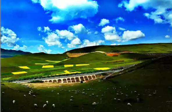 各地水果特产一览表,各地特产礼品一览表