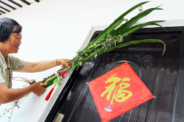 艾草是中草药中的仙草,艾草仙草