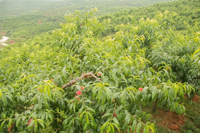 无接触配送安心宅家吃美食,无接触食品