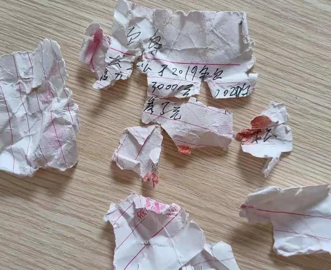 光凭一张欠条打官司能要回来吗,欠条已经拿回来还被起诉没还钱