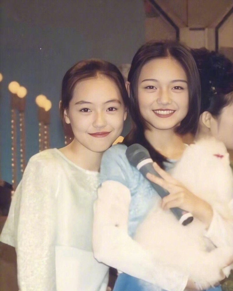 李冰冰姐妹花在娱乐圈打拼靠什么,十对明星姐妹