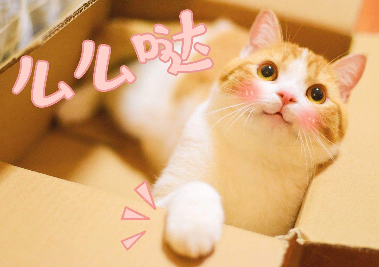 五一抽大奖活动,五一礼包抽奖