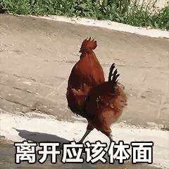 今日表情包第三弹图片,今日表情包收藏