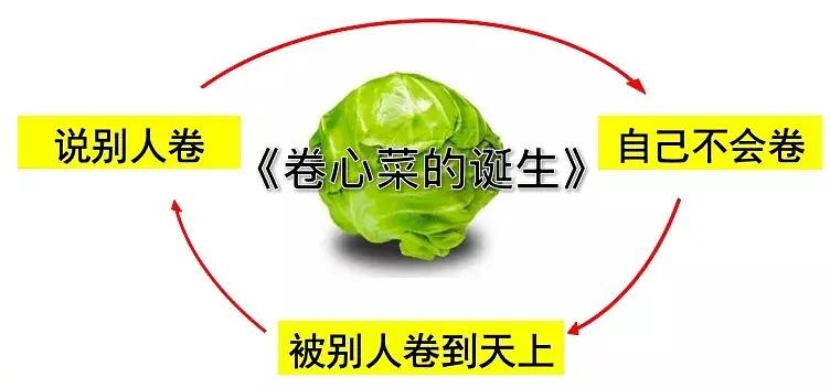 怎么正确面对室友内卷,舍友老是内卷怎么办