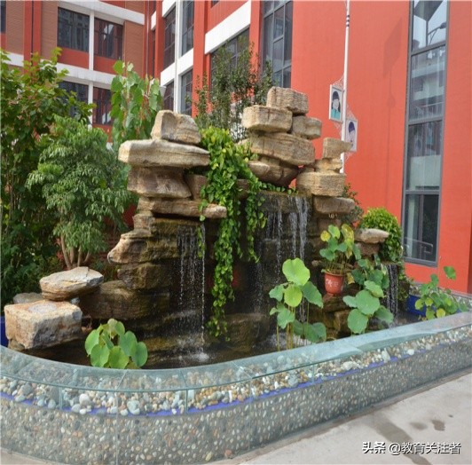 蒲公英小学在郑东新区排名,郑东新区蒲公英小学