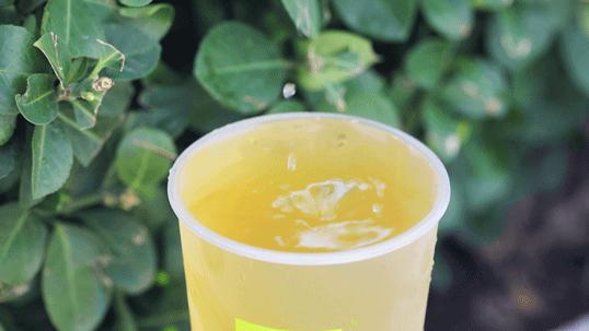 奈雪「霸气小确杏」回归！还有杏运上上签，今日开“撕”