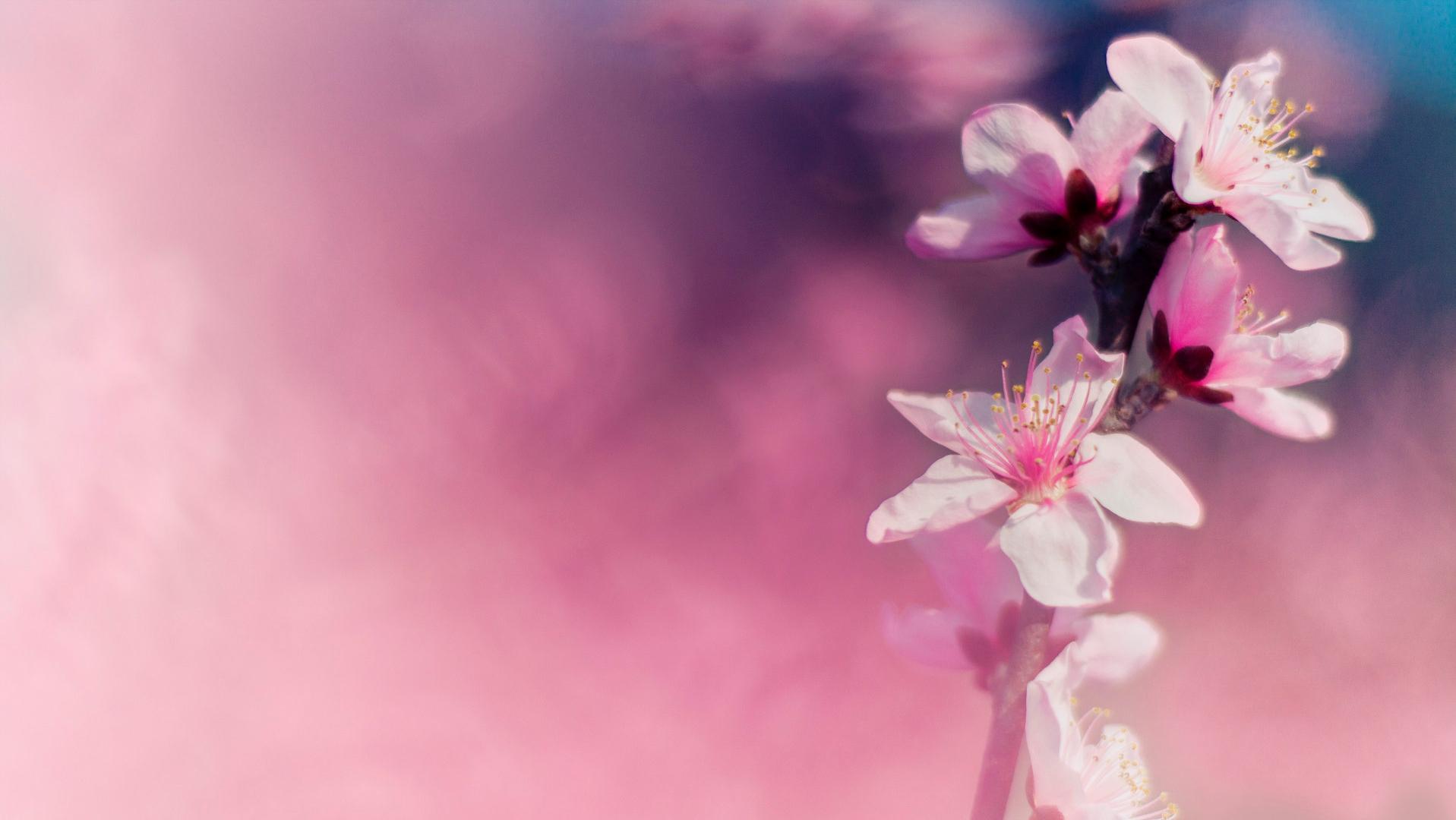 一个人，开始走桃花运，有这三种迹象