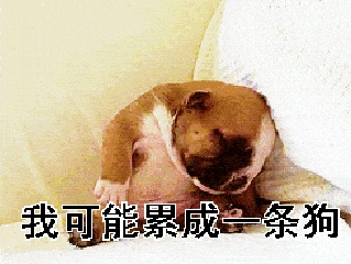 去韩国种萝卜被遣返,被骗到俄罗斯去种田