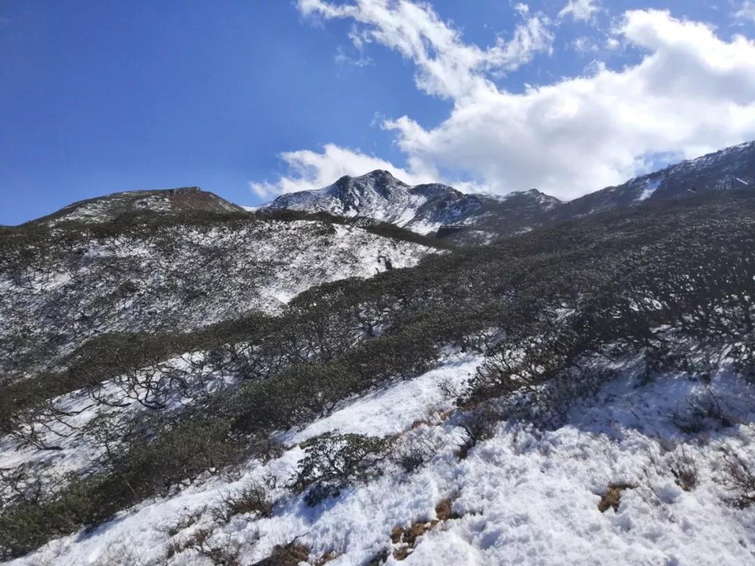 云旅游带你看遍天下美景,一起去旅行吧旅游