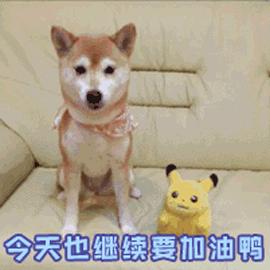 女生姨妈期好物推荐,舒服度过姨妈期的好物