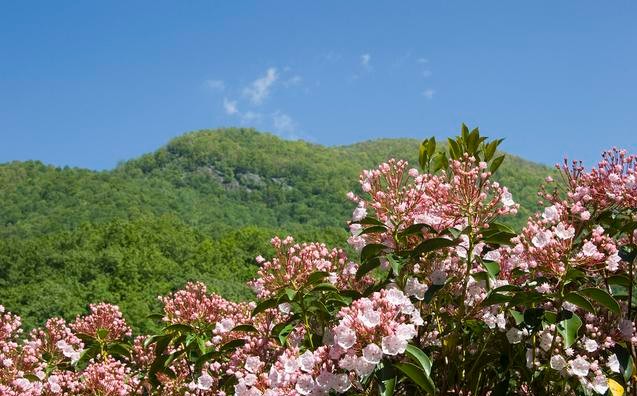 长篇小说连载《飞狼》第一部第三十二章，星云中的战斗