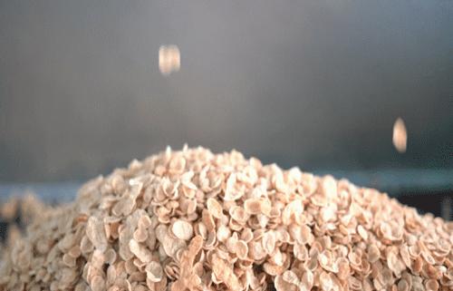 早餐只吃燕麦片能满足营养吗,早餐吃燕麦养胃吗