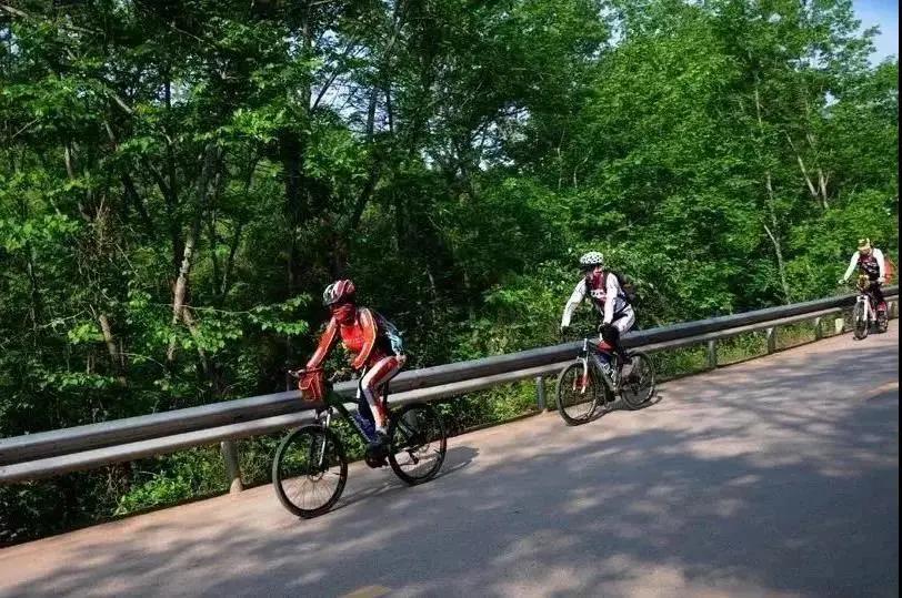 青白江十大健身地,青白江体育