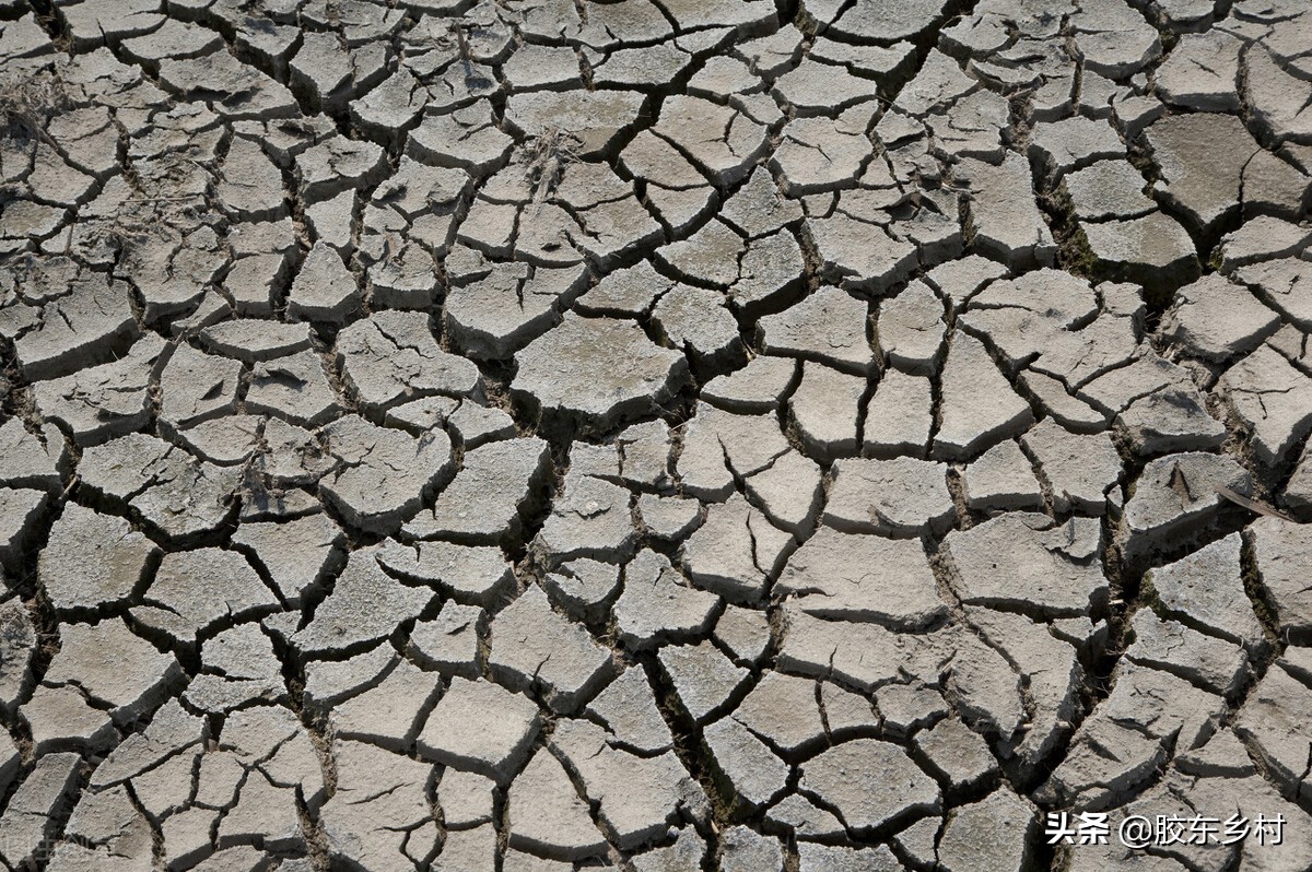 2021年夏天热不热?夏至即将来临,牛年三伏天有多少天呢?