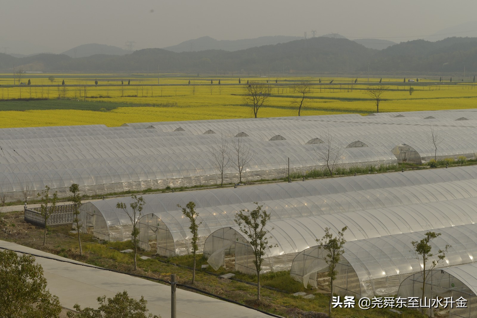 张溪镇是哪里,张溪镇有几个乡村