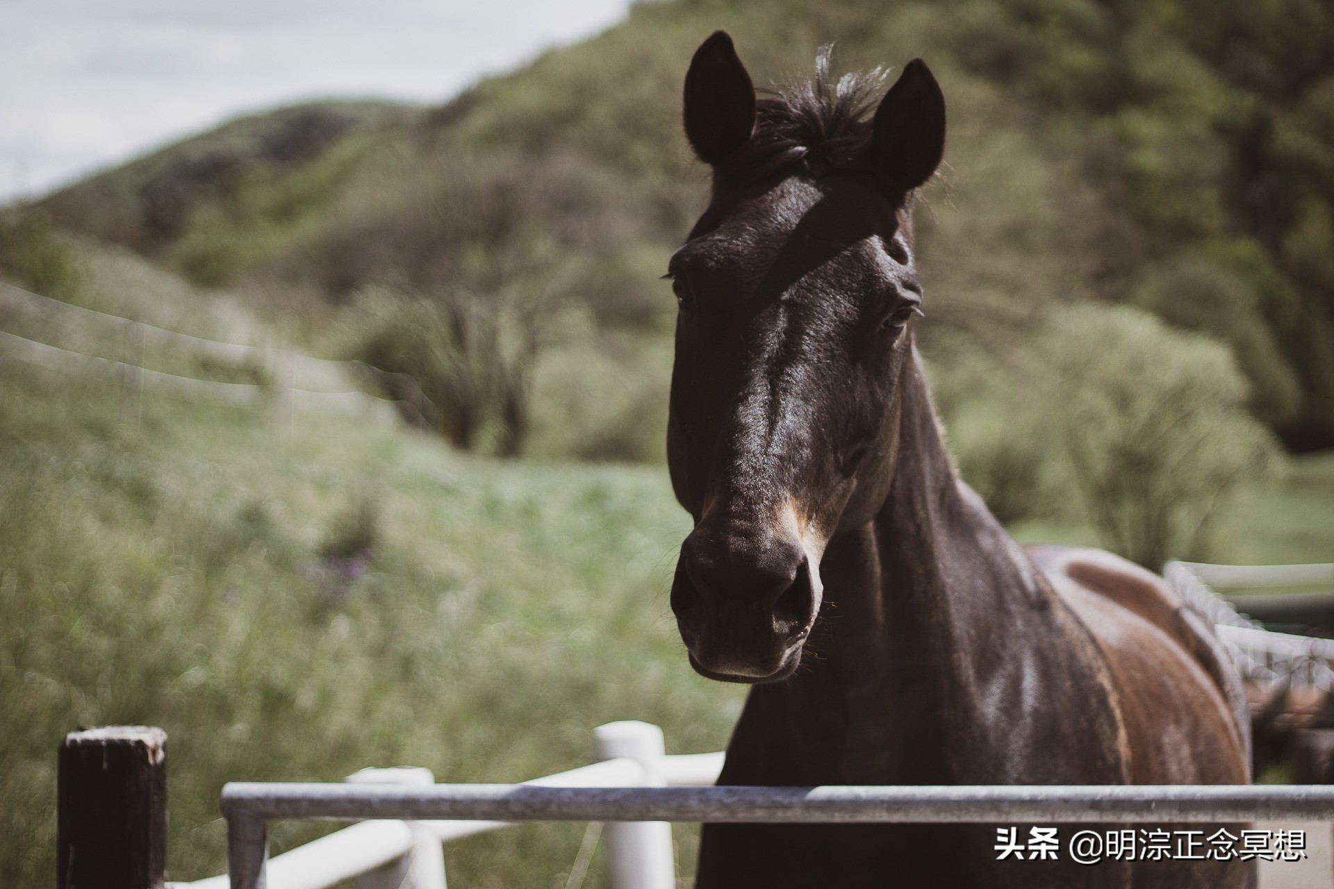 「明淙千问（29）」我总感觉自己很差劲，这是怎么回事？