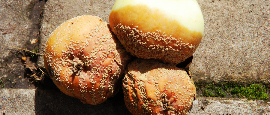 急性肠炎吃药一般多久缓解,一招缓解急性肠炎