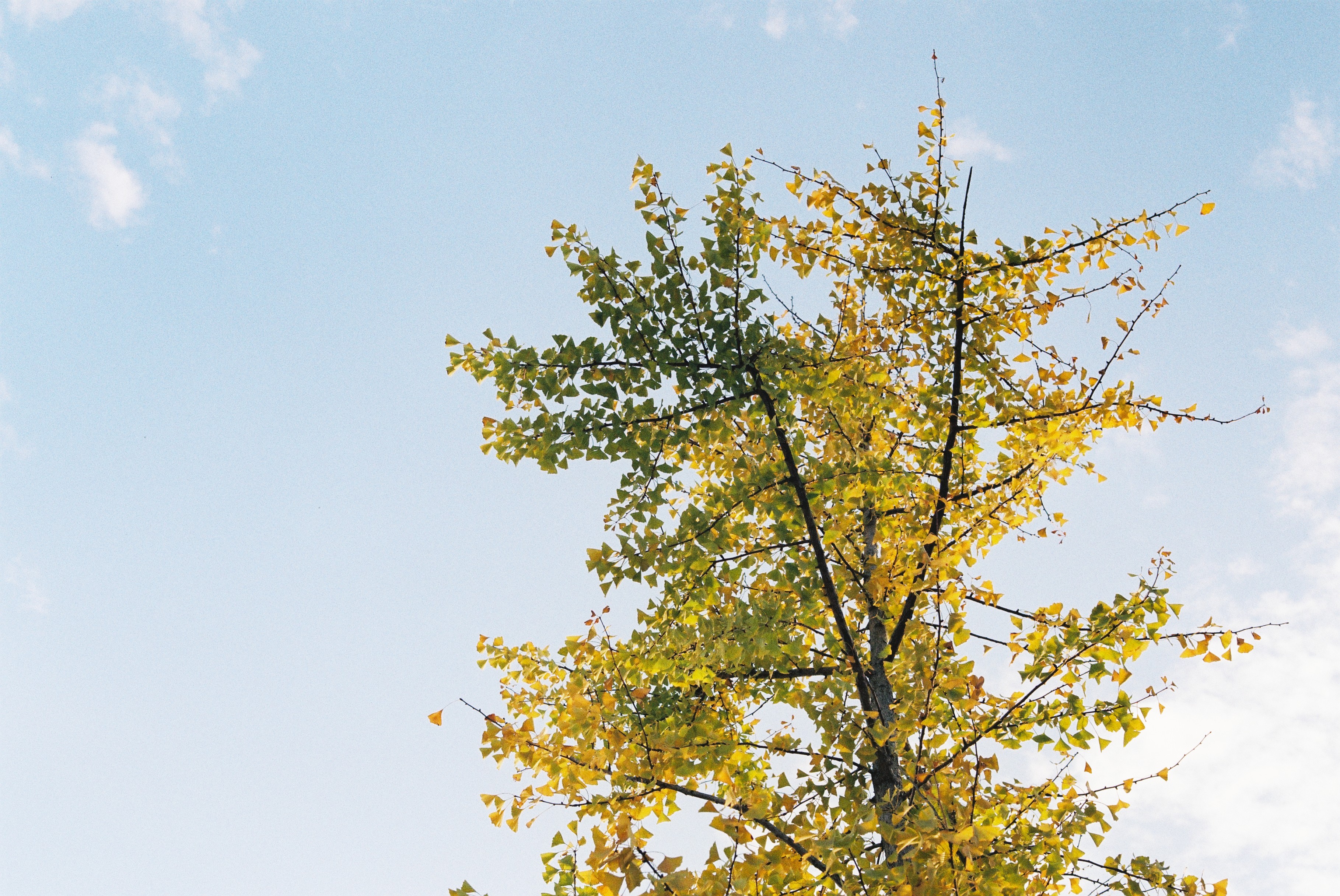 第一次拍了胶片怎么冲洗,坚持胶片拍摄的感受