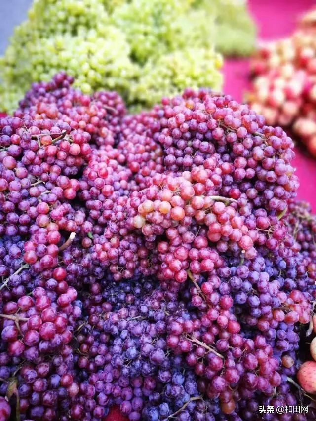 和田最好吃的在哪,和田好吃的都在什么地方