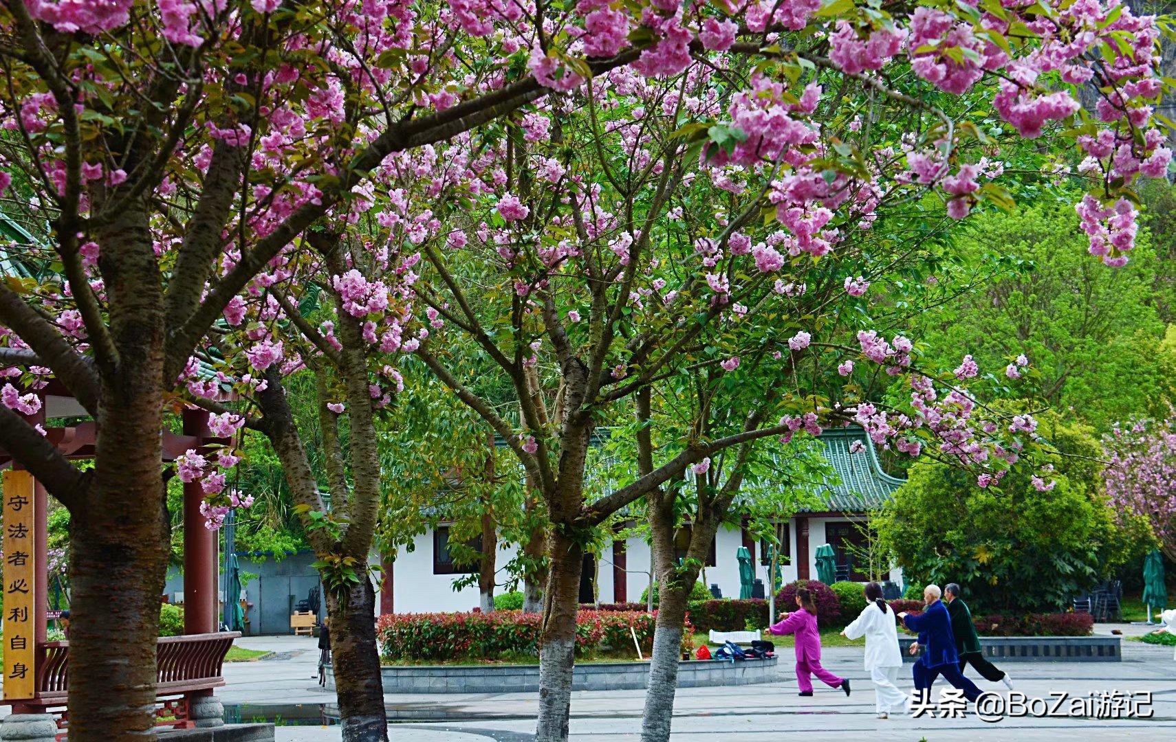 南充市凤凰故垒景区有哪些景点,四川南充旅游攻略景点大全