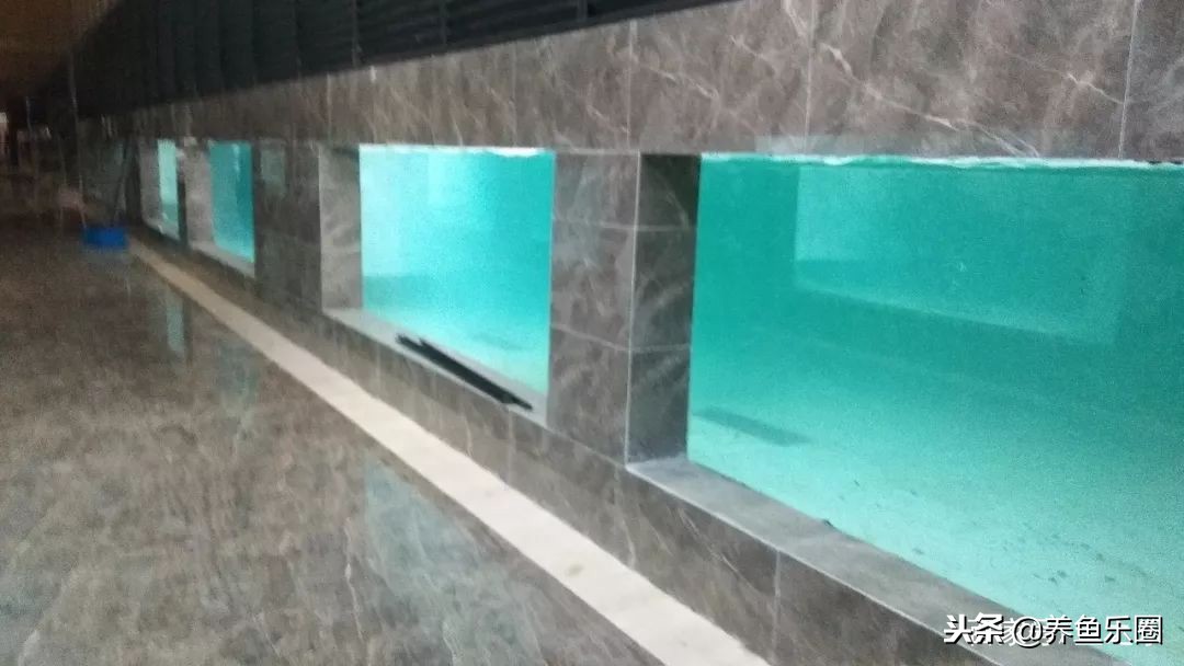 这位土豪家的渔场,光滤材就花了500多万,你确定不要见识一下?