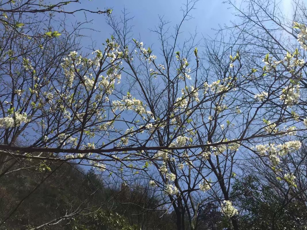 浙江的“青藏高原”在哪里？一起去浙西大峡谷探秘吧！